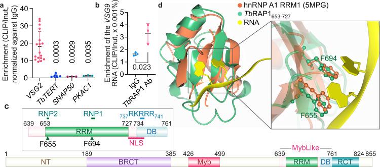 https://cdn.ncbi.nlm.nih.gov/pmc/blobs/c8f6/10033678/d8e987cddaef/41467_2023_37307_Fig1_HTML.jpg
