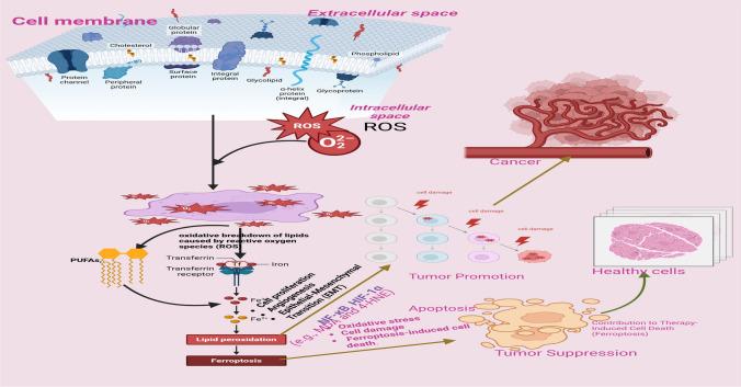 https://cdn.ncbi.nlm.nih.gov/pmc/blobs/c8f6/12021792/78ff5aa18744/11671_2025_4248_Fig1_HTML.jpg