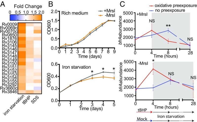 https://cdn.ncbi.nlm.nih.gov/pmc/blobs/c8f6/6016810/54ac7b250dd8/pnas.1718003115fig05.jpg