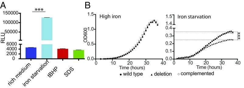 https://cdn.ncbi.nlm.nih.gov/pmc/blobs/c8f6/6016810/9c7e316a4935/pnas.1718003115fig03.jpg