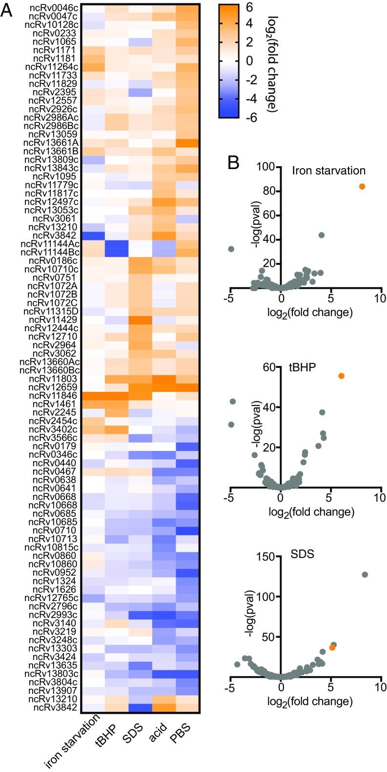 https://cdn.ncbi.nlm.nih.gov/pmc/blobs/c8f6/6016810/f11439fd130c/pnas.1718003115fig01.jpg