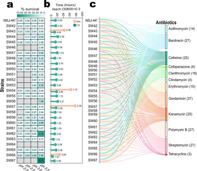 https://cdn.ncbi.nlm.nih.gov/pmc/blobs/c8f7/12325933/05503852e334/41522_2025_793_Fig4_HTML.jpg