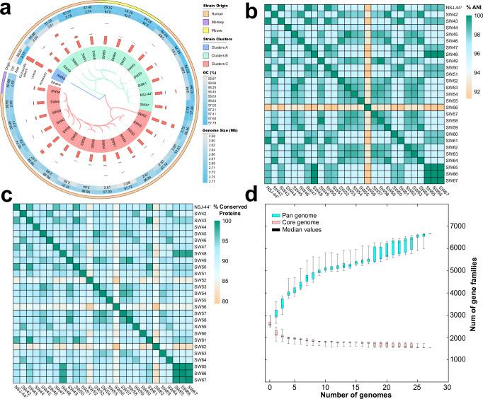 https://cdn.ncbi.nlm.nih.gov/pmc/blobs/c8f7/12325933/1c7dfda29815/41522_2025_793_Fig1_HTML.jpg