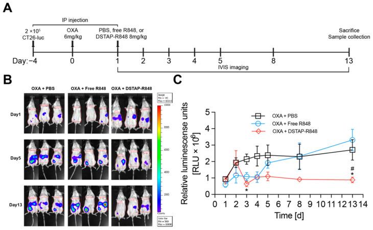 https://cdn.ncbi.nlm.nih.gov/pmc/blobs/c8f7/8540734/f392a71409e9/pharmaceutics-13-01696-g004.jpg