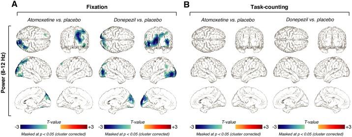 https://cdn.ncbi.nlm.nih.gov/pmc/blobs/c8f8/5821404/ce7ff442bd0f/pbio.2003453.g006.jpg