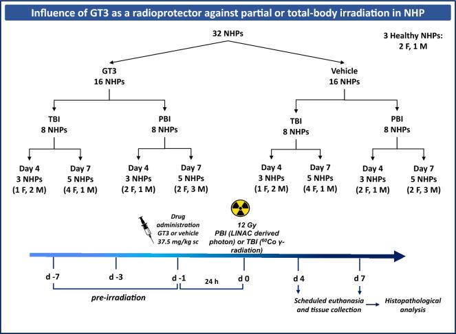 https://cdn.ncbi.nlm.nih.gov/pmc/blobs/c8f9/10923821/eb638a299d00/41598_2024_56135_Fig1_HTML.jpg