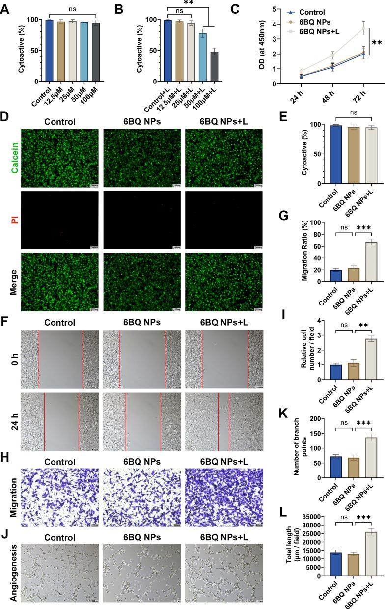https://cdn.ncbi.nlm.nih.gov/pmc/blobs/c8f9/12255031/0f392f2d0948/12951_2025_3570_Fig2_HTML.jpg