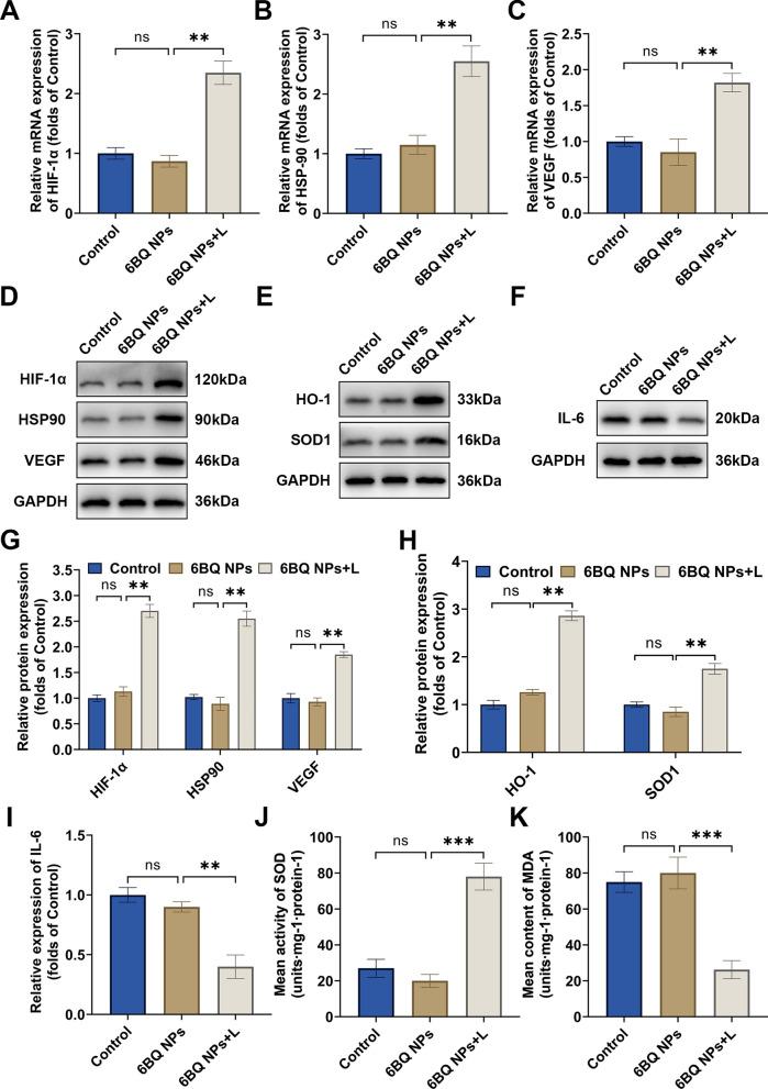 https://cdn.ncbi.nlm.nih.gov/pmc/blobs/c8f9/12255031/59e74f5833f3/12951_2025_3570_Fig3_HTML.jpg