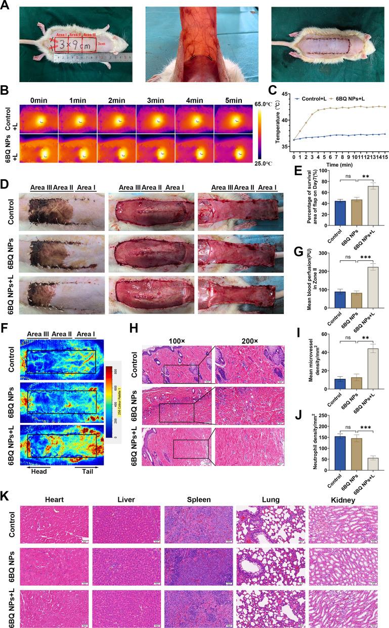 https://cdn.ncbi.nlm.nih.gov/pmc/blobs/c8f9/12255031/d8dad55c916f/12951_2025_3570_Fig4_HTML.jpg