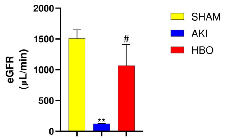 https://cdn.ncbi.nlm.nih.gov/pmc/blobs/c8fb/11011961/cfbb6257e319/ijms-25-03870-g001.jpg