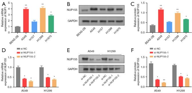 https://cdn.ncbi.nlm.nih.gov/pmc/blobs/c8fb/11651763/8774b362c674/tcr-13-11-6323-f2.jpg