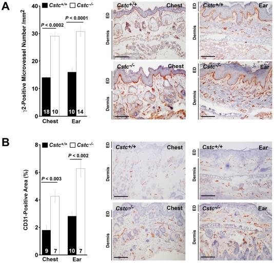 https://cdn.ncbi.nlm.nih.gov/pmc/blobs/c8fb/2981574/48cff34d38eb/pone.0013973.g009.jpg