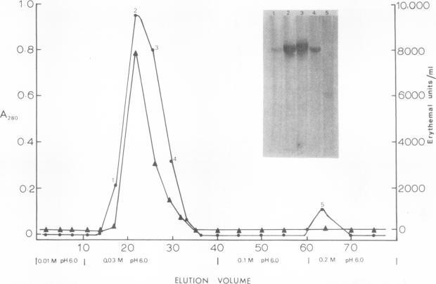 https://cdn.ncbi.nlm.nih.gov/pmc/blobs/c8fb/422591/036b7e95bdd2/iai00275-0018-a.jpg