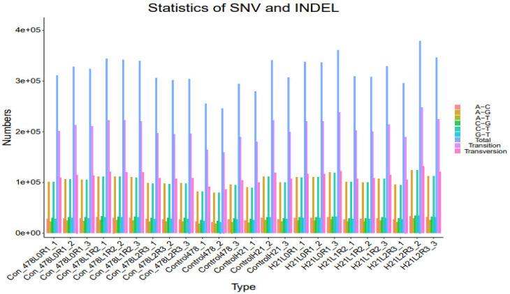 https://cdn.ncbi.nlm.nih.gov/pmc/blobs/c8fc/9858524/c35bb9a80564/genes-14-00031-g011.jpg