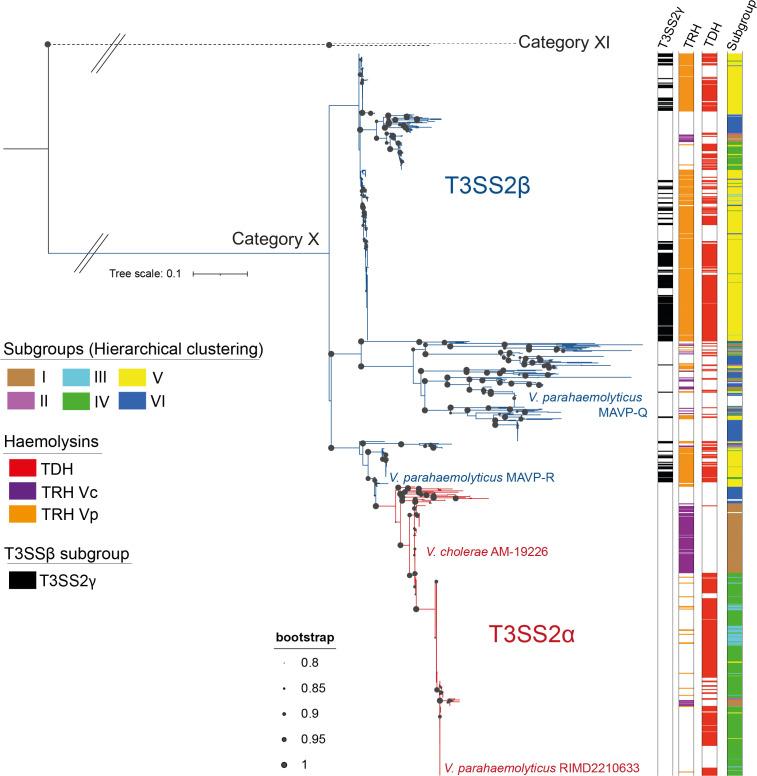 https://cdn.ncbi.nlm.nih.gov/pmc/blobs/c901/10210961/ae555f0eb824/mgen-9-973-g003.jpg