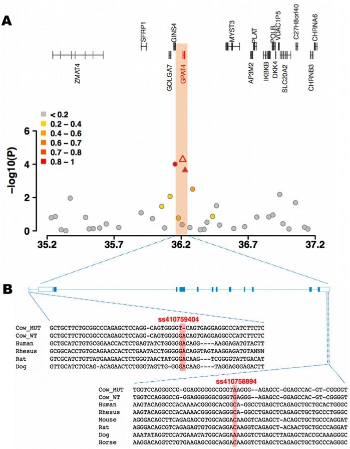 https://cdn.ncbi.nlm.nih.gov/pmc/blobs/c901/3394711/2f6c41054ed9/pone.0040711.g004.jpg