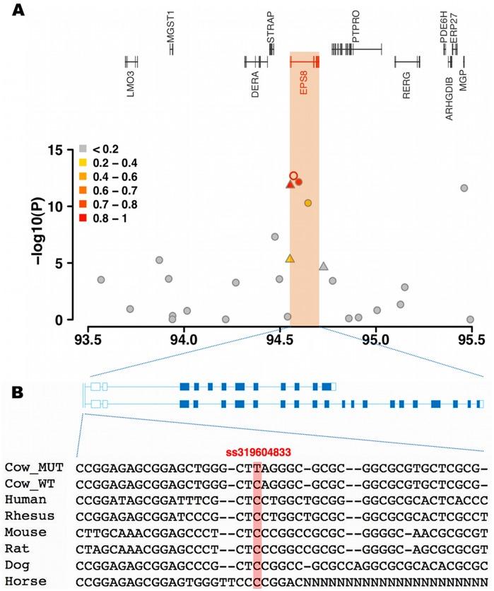 https://cdn.ncbi.nlm.nih.gov/pmc/blobs/c901/3394711/b933933c3b8a/pone.0040711.g003.jpg
