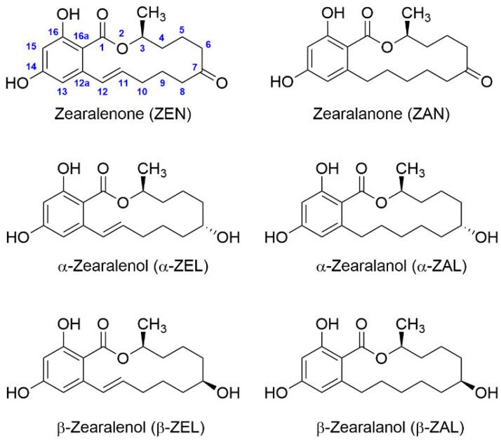 https://cdn.ncbi.nlm.nih.gov/pmc/blobs/c902/8953469/f330a6a774a8/toxins-14-00185-g001.jpg