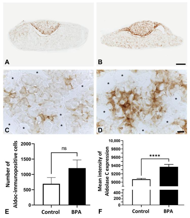 https://cdn.ncbi.nlm.nih.gov/pmc/blobs/c903/8657948/5170f5ed0b55/ijms-22-12667-g003.jpg