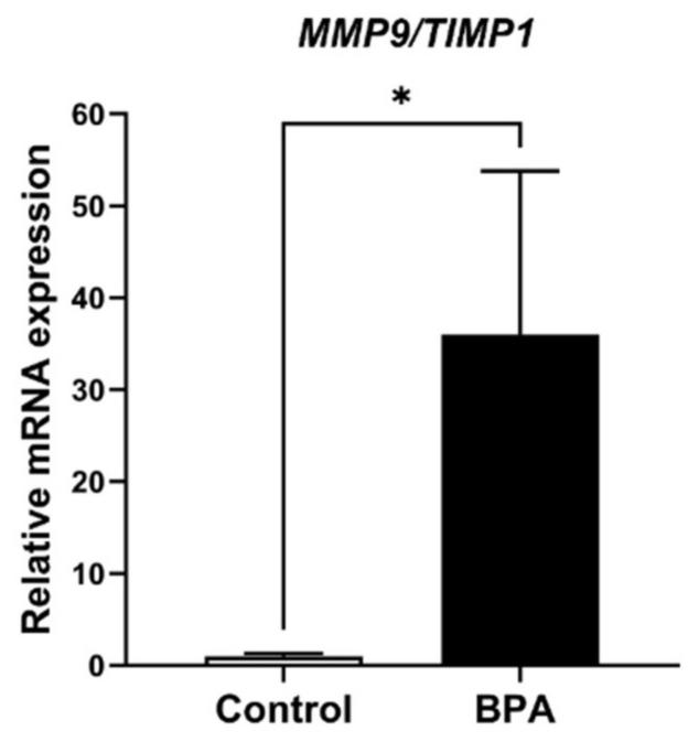 https://cdn.ncbi.nlm.nih.gov/pmc/blobs/c903/8657948/84dc465a0a62/ijms-22-12667-g008.jpg