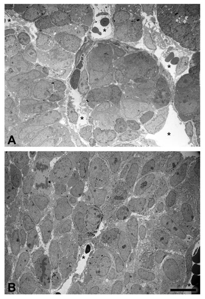 https://cdn.ncbi.nlm.nih.gov/pmc/blobs/c903/8657948/f959f9f0e8c3/ijms-22-12667-g009.jpg