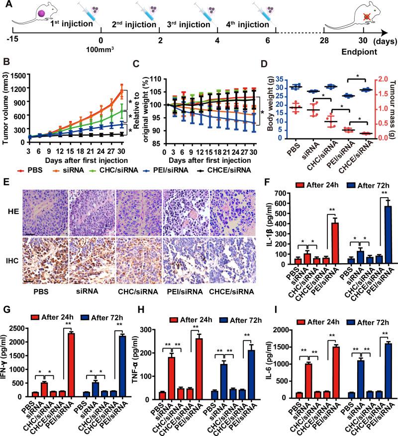 https://cdn.ncbi.nlm.nih.gov/pmc/blobs/c904/8906879/dab1a4aedc4b/IJN-17-953-g0007.jpg