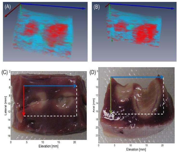 https://cdn.ncbi.nlm.nih.gov/pmc/blobs/c905/8659598/130c6518e218/sensors-21-07947-g011.jpg