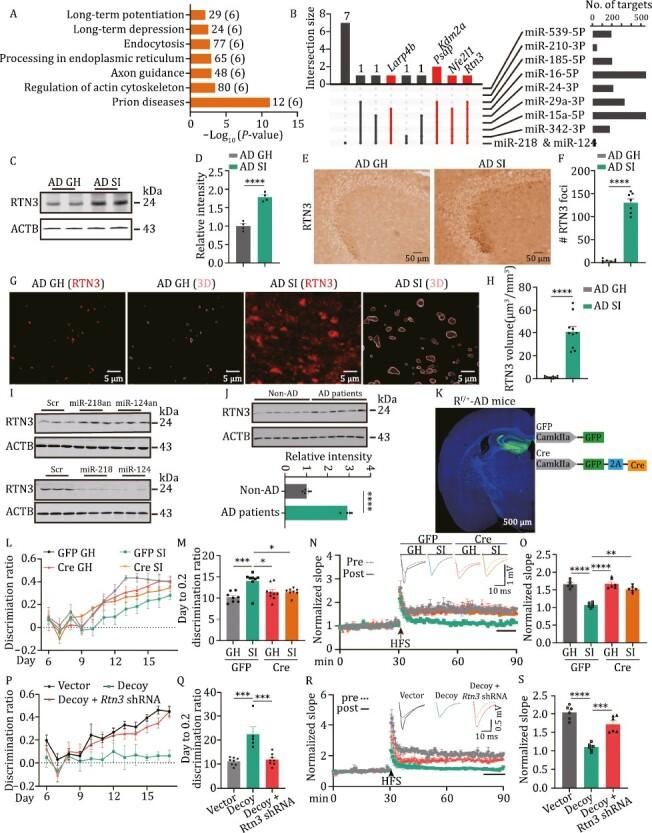 https://cdn.ncbi.nlm.nih.gov/pmc/blobs/c906/10984625/4cf1f4516845/pwad056_fig4.jpg