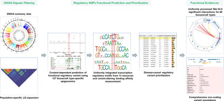 https://cdn.ncbi.nlm.nih.gov/pmc/blobs/c907/6030885/3d8761072a20/gky407fig1.jpg
