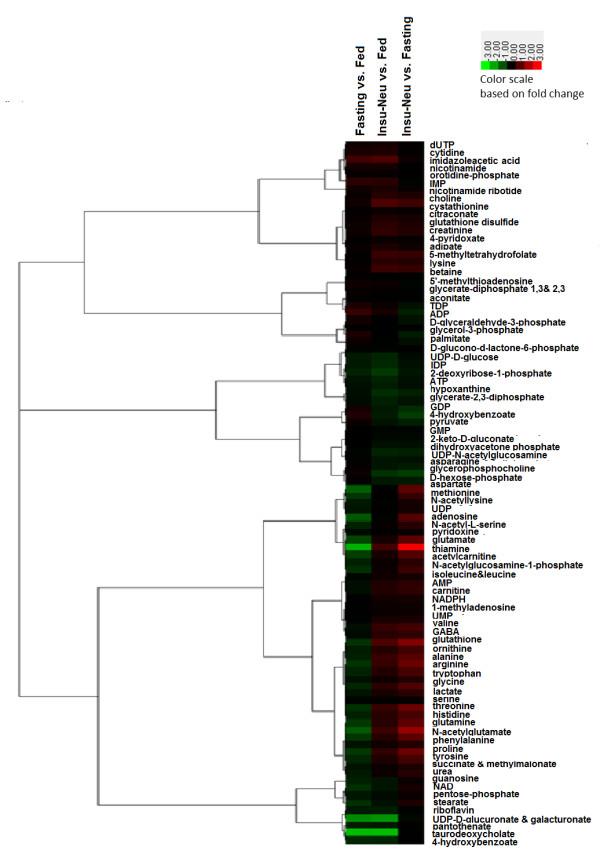 https://cdn.ncbi.nlm.nih.gov/pmc/blobs/c90a/3503602/7be0fa369bff/1471-2164-13-441-4.jpg