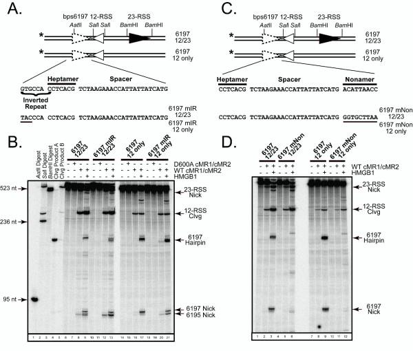 https://cdn.ncbi.nlm.nih.gov/pmc/blobs/c90b/2666730/7da68226300f/1471-2199-10-24-4.jpg