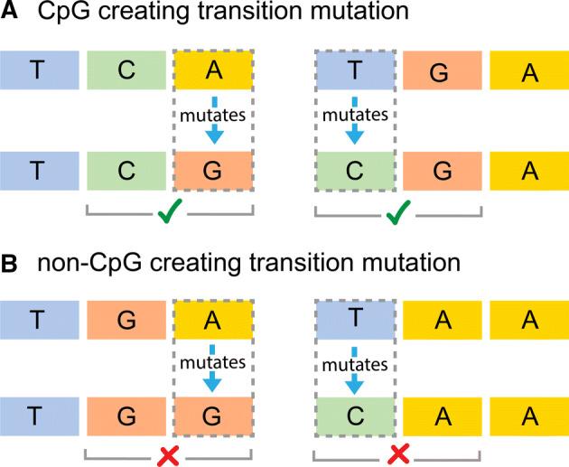 https://cdn.ncbi.nlm.nih.gov/pmc/blobs/c90b/7245597/c7f996ab1fd2/10682_2020_10039_Fig2_HTML.jpg