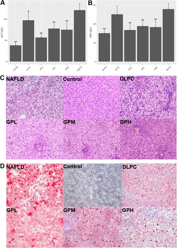 https://cdn.ncbi.nlm.nih.gov/pmc/blobs/c90f/7076883/373479b22660/12906_2020_2835_Fig2_HTML.jpg