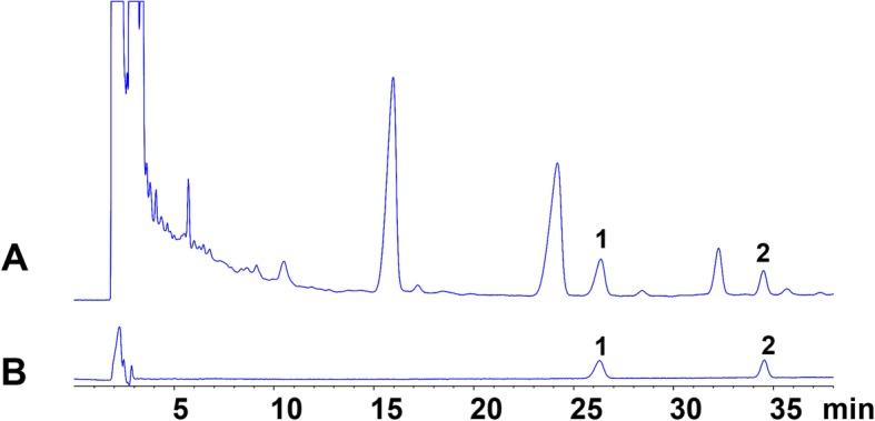 https://cdn.ncbi.nlm.nih.gov/pmc/blobs/c90f/7076883/9b0097e09185/12906_2020_2835_Fig1_HTML.jpg