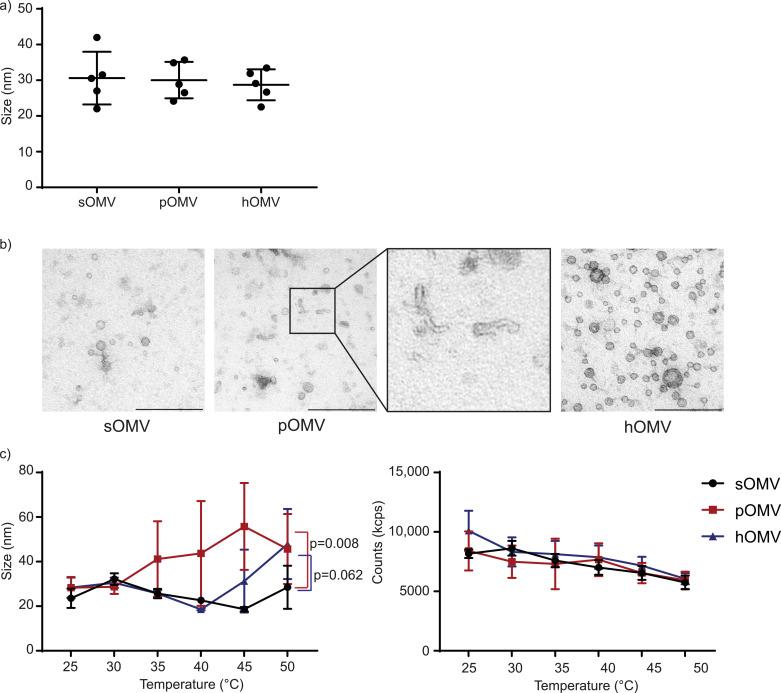 https://cdn.ncbi.nlm.nih.gov/pmc/blobs/c90f/8610334/216463dc5f47/gr3.jpg