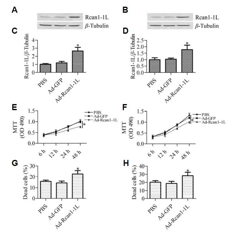 https://cdn.ncbi.nlm.nih.gov/pmc/blobs/c911/4255098/0d17820eb949/molcell-37-11-785f1.jpg