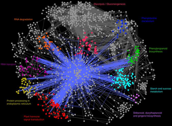 https://cdn.ncbi.nlm.nih.gov/pmc/blobs/c913/5533726/e9aa9bff5cb5/41598_2017_5240_Fig5_HTML.jpg