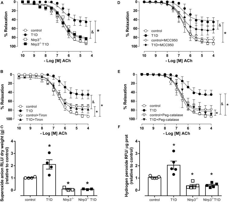 https://cdn.ncbi.nlm.nih.gov/pmc/blobs/c914/6978691/b4f6426d9957/fphys-10-01557-g002.jpg