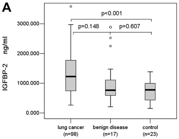 https://cdn.ncbi.nlm.nih.gov/pmc/blobs/c915/3583617/d11dc9ef78ce/IJO-42-01-0093-g08.jpg