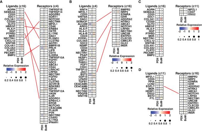 https://cdn.ncbi.nlm.nih.gov/pmc/blobs/c916/10770257/ee76c0cca24d/fimmu-14-1313536-g005.jpg