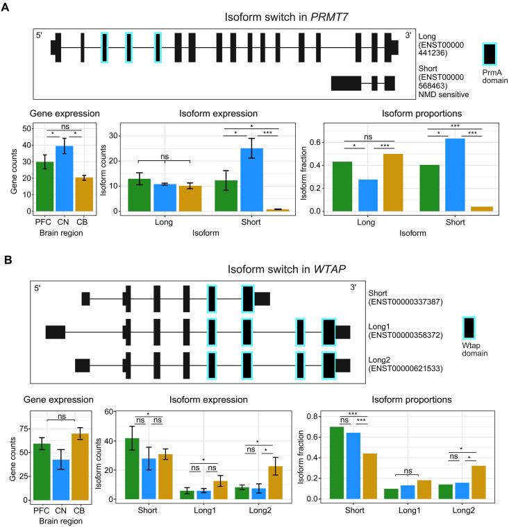https://cdn.ncbi.nlm.nih.gov/pmc/blobs/c91b/12333690/2afa9a1026e4/sciadv.adp0783-f3.jpg