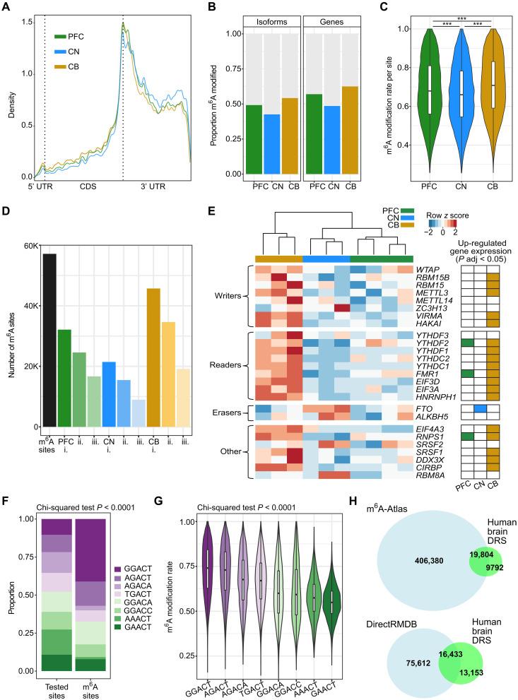 https://cdn.ncbi.nlm.nih.gov/pmc/blobs/c91b/12333690/dc6ba6527321/sciadv.adp0783-f4.jpg