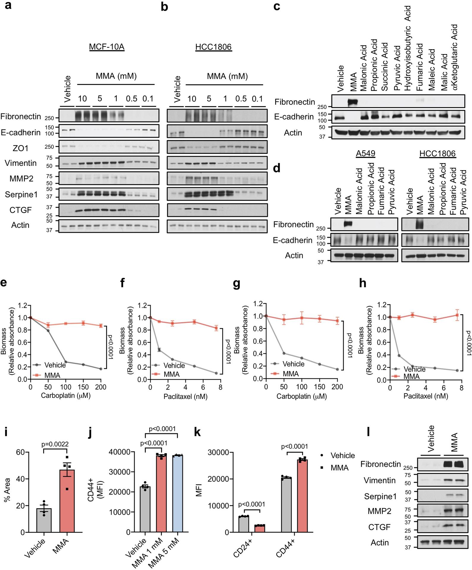 https://cdn.ncbi.nlm.nih.gov/pmc/blobs/c91c/7785256/a859f0816731/nihms-1611221-f0008.jpg