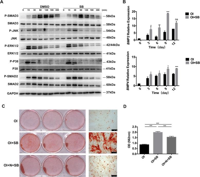 https://cdn.ncbi.nlm.nih.gov/pmc/blobs/c91e/6567469/5979887cfd81/13287_2019_1281_Fig6_HTML.jpg