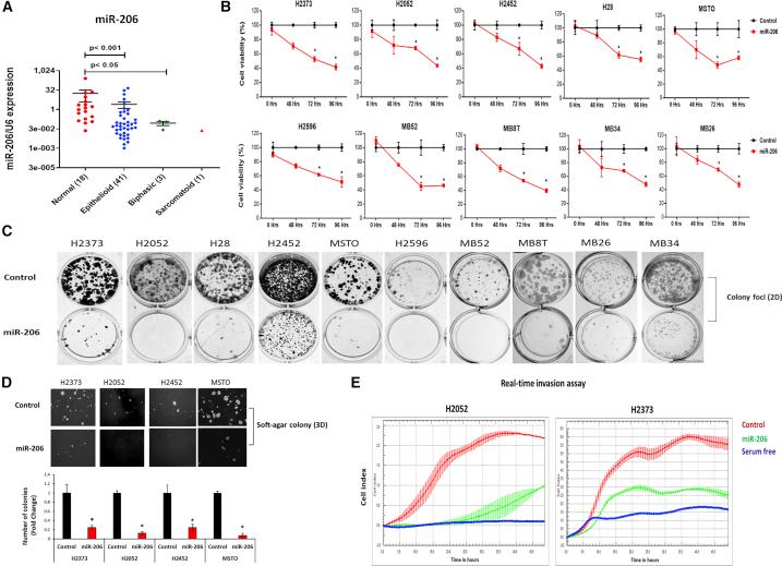 https://cdn.ncbi.nlm.nih.gov/pmc/blobs/c920/8093312/16db3f15241d/gr1.jpg