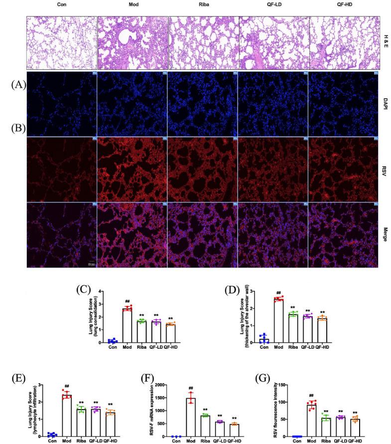 https://cdn.ncbi.nlm.nih.gov/pmc/blobs/c924/11165710/d2d219605b35/CCHTS-27-969_F7.jpg