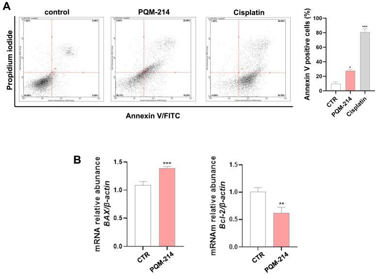 https://cdn.ncbi.nlm.nih.gov/pmc/blobs/c924/12196036/41aa2cc8db47/pharmaceuticals-18-00914-g007.jpg