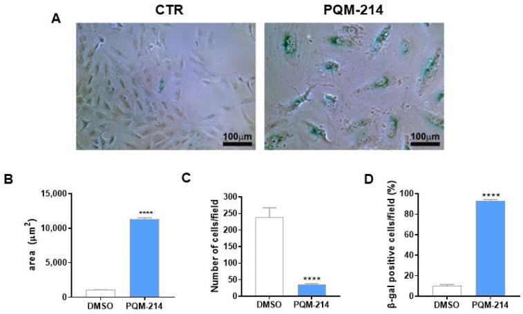 https://cdn.ncbi.nlm.nih.gov/pmc/blobs/c924/12196036/5b9efdc41caa/pharmaceuticals-18-00914-g005.jpg