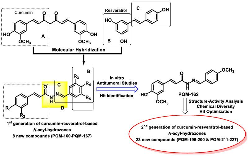 https://cdn.ncbi.nlm.nih.gov/pmc/blobs/c924/12196036/97d3cc2e90a9/pharmaceuticals-18-00914-g001.jpg