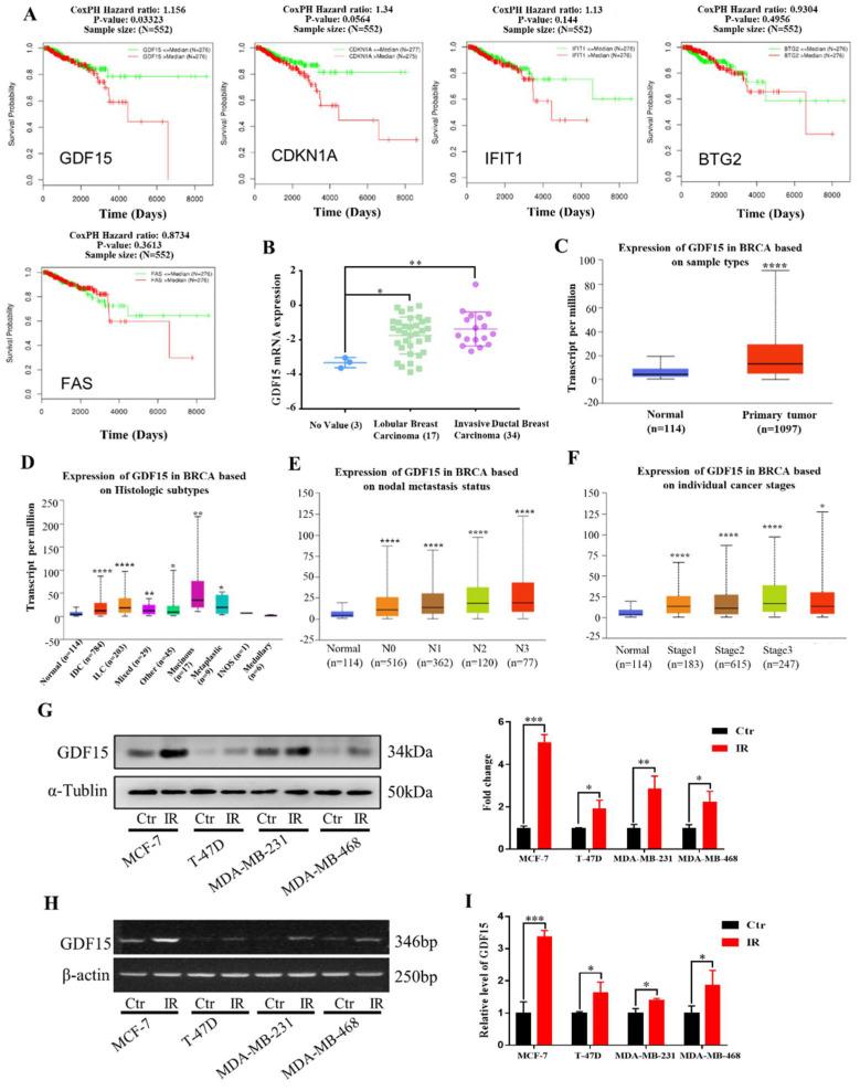 https://cdn.ncbi.nlm.nih.gov/pmc/blobs/c924/9504016/a2f36ebc3dee/ijms-23-10911-g003.jpg